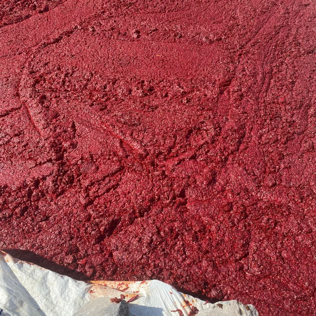 Anasayfa kinne baba isotçuluk ve kurutmalık aradığınız her şey mevcut kurutmanın da isotunda babası sade (3)